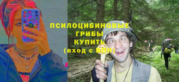 сатива Алексеевка
