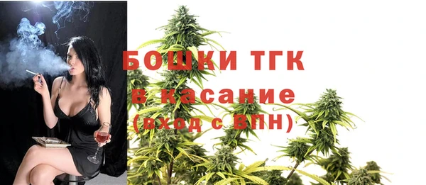 сатива Алексеевка
