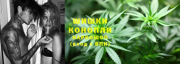 сатива Алексеевка