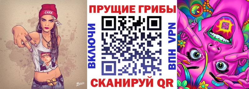 Галлюциногенные грибы мицелий  маркетплейс официальный сайт  Новошахтинск 